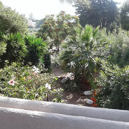 Liogerma - Koletti Panormos (Kalymnos)