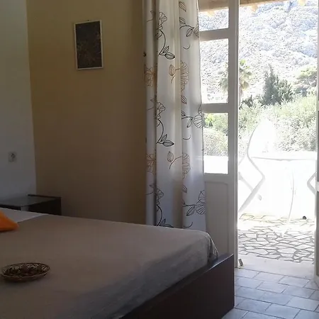 Liogerma - Koletti *